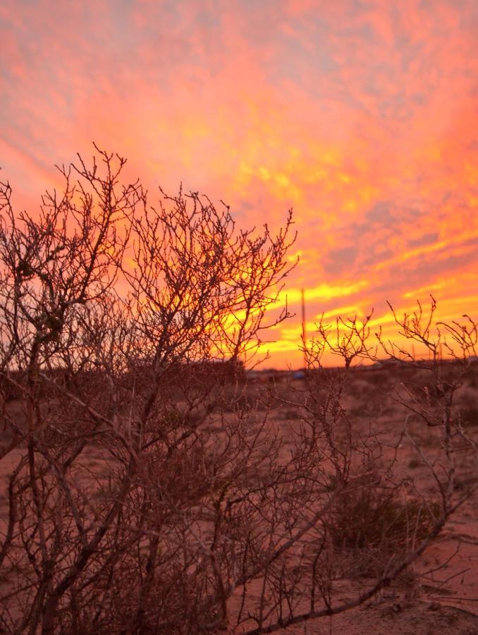Tortoise Trail Lodge Langebaan Exteriör bild